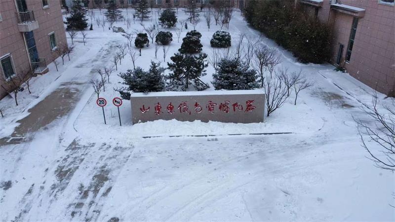 大雪飘落   童话凯发国际